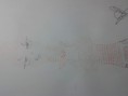 /album/trabajos-de-apreciacion-artistica/a20130527-214402-jpg/